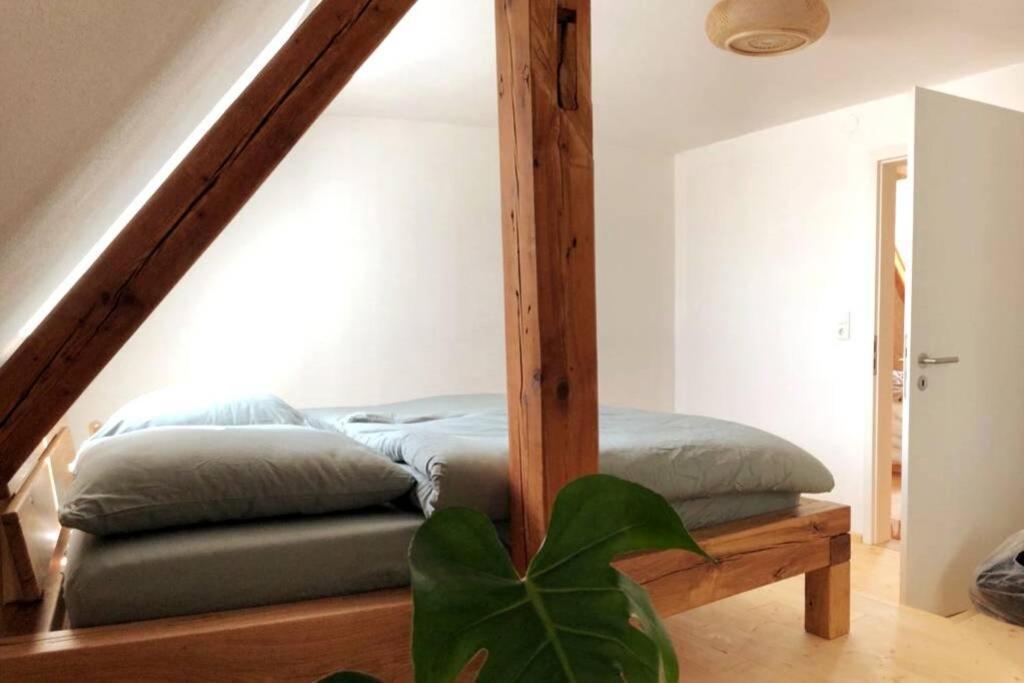 Ruhig Gelegene, Top Moderne Ferienwohnung - Hot Tub Und Sauna Gegen Aufpreis Neuhaus an Der Eger Екстер'єр фото