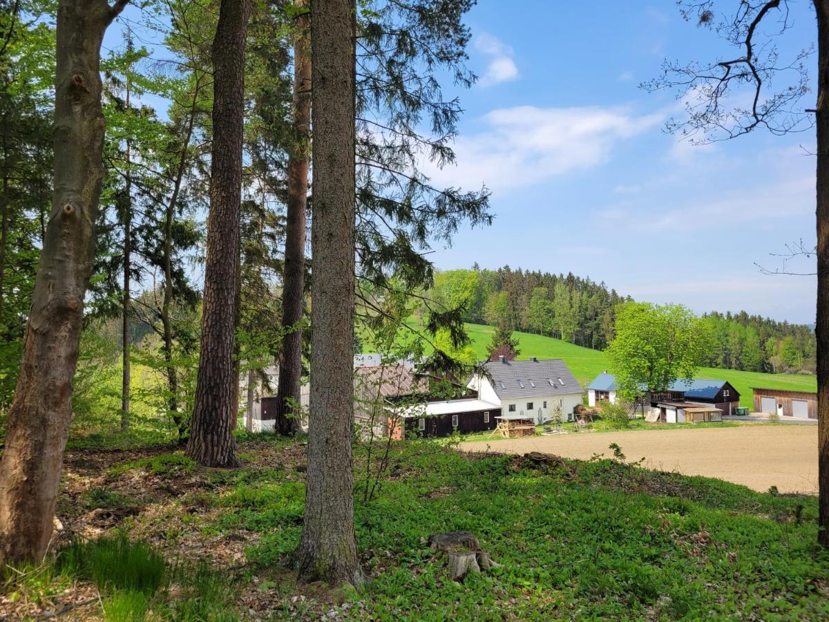 Ruhig Gelegene, Top Moderne Ferienwohnung - Hot Tub Und Sauna Gegen Aufpreis Neuhaus an Der Eger Екстер'єр фото