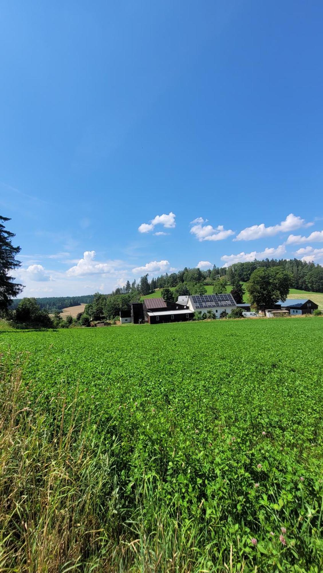 Ruhig Gelegene, Top Moderne Ferienwohnung - Hot Tub Und Sauna Gegen Aufpreis Neuhaus an Der Eger Екстер'єр фото