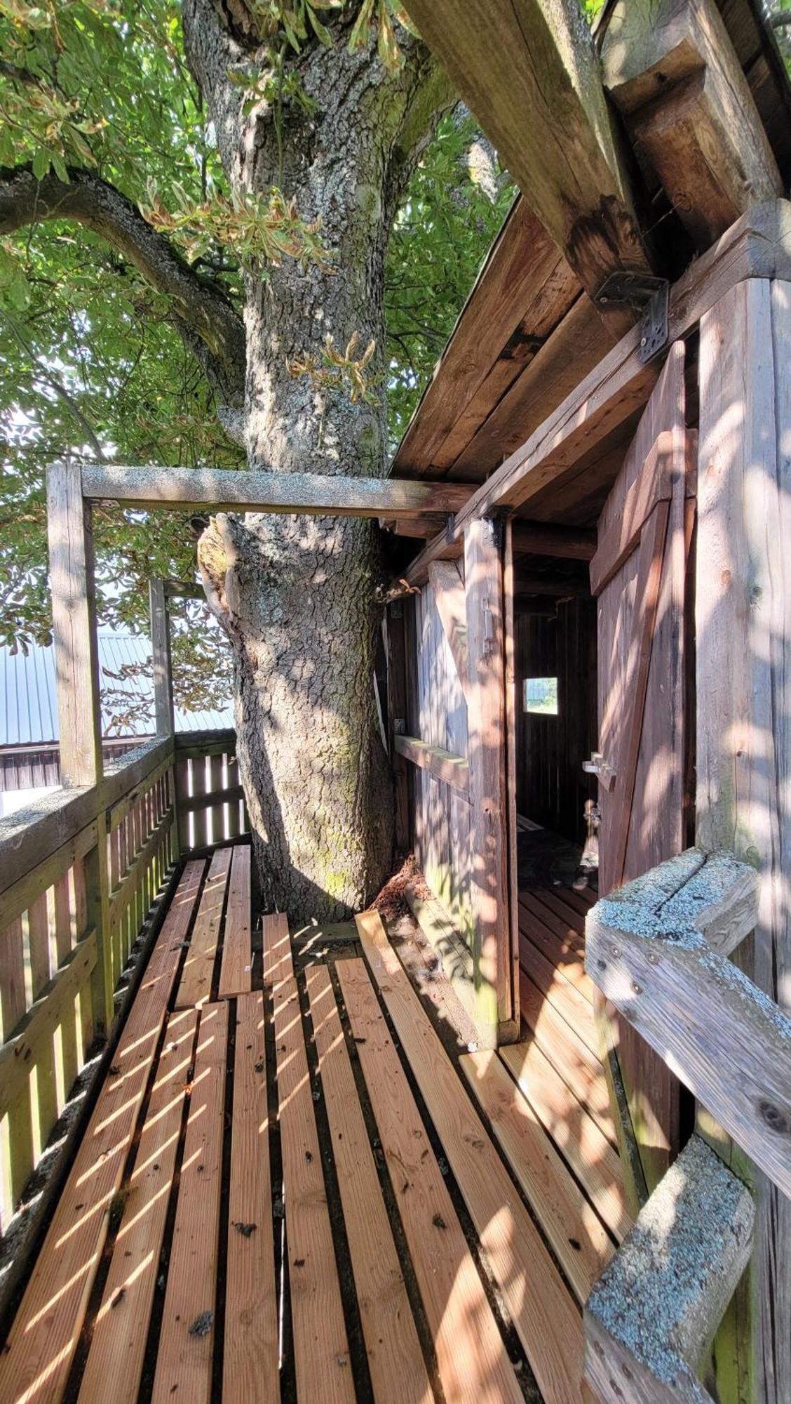 Ruhig Gelegene, Top Moderne Ferienwohnung - Hot Tub Und Sauna Gegen Aufpreis Neuhaus an Der Eger Екстер'єр фото